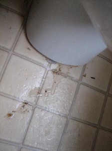 Leaking Toilet