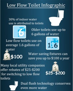 Low-Flow Toilet Infographic