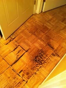 a wooden floor broken and warped from water damage