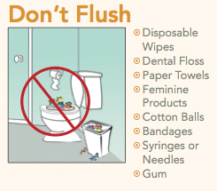 Do Not Flush These Down the Toilet infographic